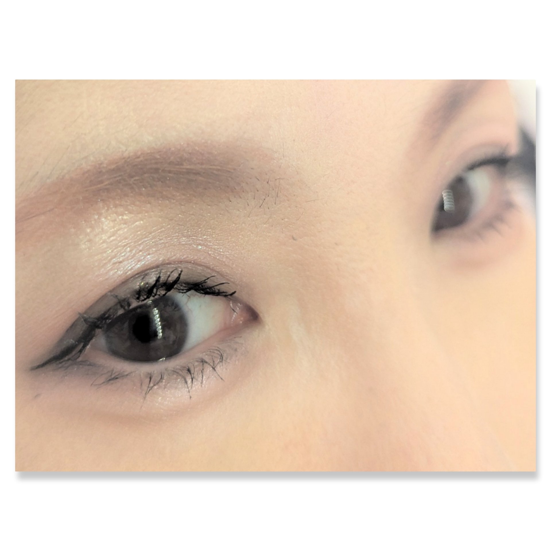 ベターザンアイズ/rom&nd/アイシャドウパレットを使ったクチコミ（2枚目）