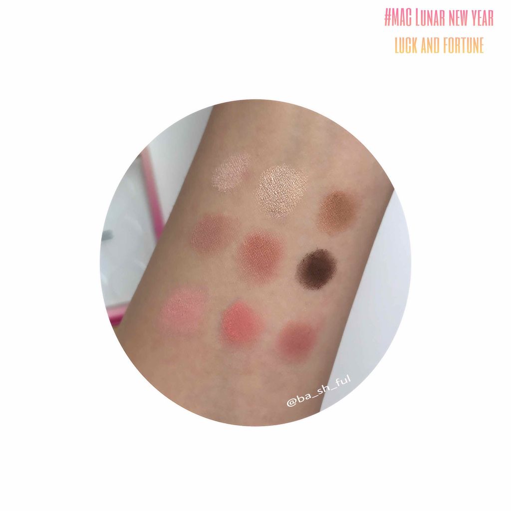 スモール アイシャドウ×9 ラック アンド フォーチュン/M・A・C/アイシャドウパレットを使ったクチコミ(4枚目)