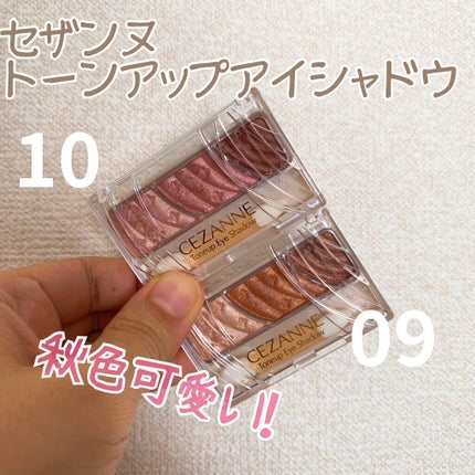 トーンアップアイシャドウ/CEZANNE/アイシャドウパレットを使ったクチコミ(1枚目)