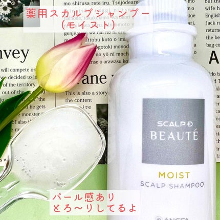 スカルプD ボーテ 薬用スカルプシャンプー(モイスト)/薬用トリートメントパック(モイスト)/アンファー(スカルプD)/市販シャンプーを使ったクチコミ(2枚目)
