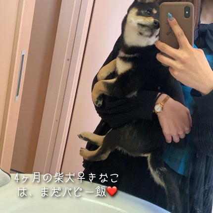 あこ❀cosme on LIPS 「GLEBO-グレボ-ドッグフード1.2kg🐾コスメの口コミサイ..」(6枚目)