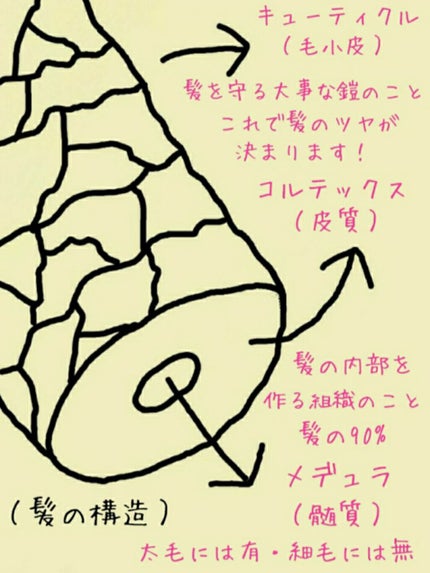 柳屋 あんず油/柳屋あんず油/ヘアオイルを使ったクチコミ(4枚目)