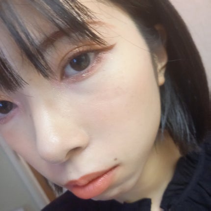 エクスプローラ12色 動物アイシャドウパレット/PERFECT DIARY/アイシャドウパレットを使ったクチコミ(3枚目)