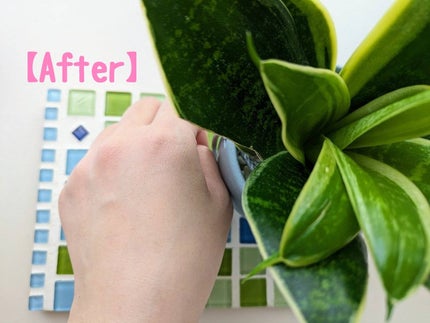 スキンアクア トーンアップUVエッセンス/スキンアクア/日焼け止めクリームを使ったクチコミ(3枚目)