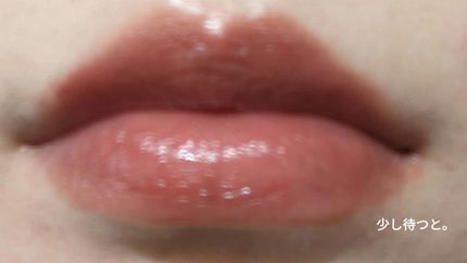 ネンマクフェイク ルージュ/Visée/口紅を使ったクチコミ(9枚目)