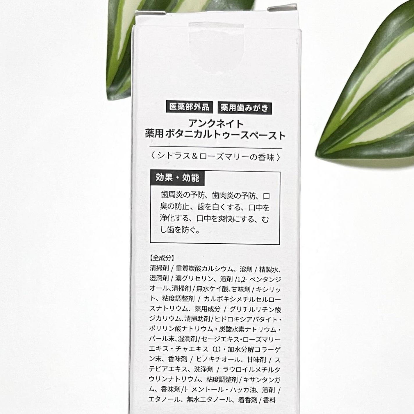 薬用ボタニカルトゥースペースト/UNCNATE/歯磨き粉を使ったクチコミ(3枚目)