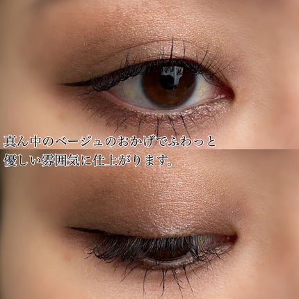 【旧】サンク クルール クチュール/Dior/アイシャドウパレットを使ったクチコミ(6枚目)