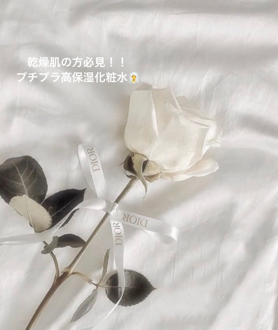 菊正宗 日本酒の化粧水 高保湿/菊正宗/化粧水を使ったクチコミ(1枚目)