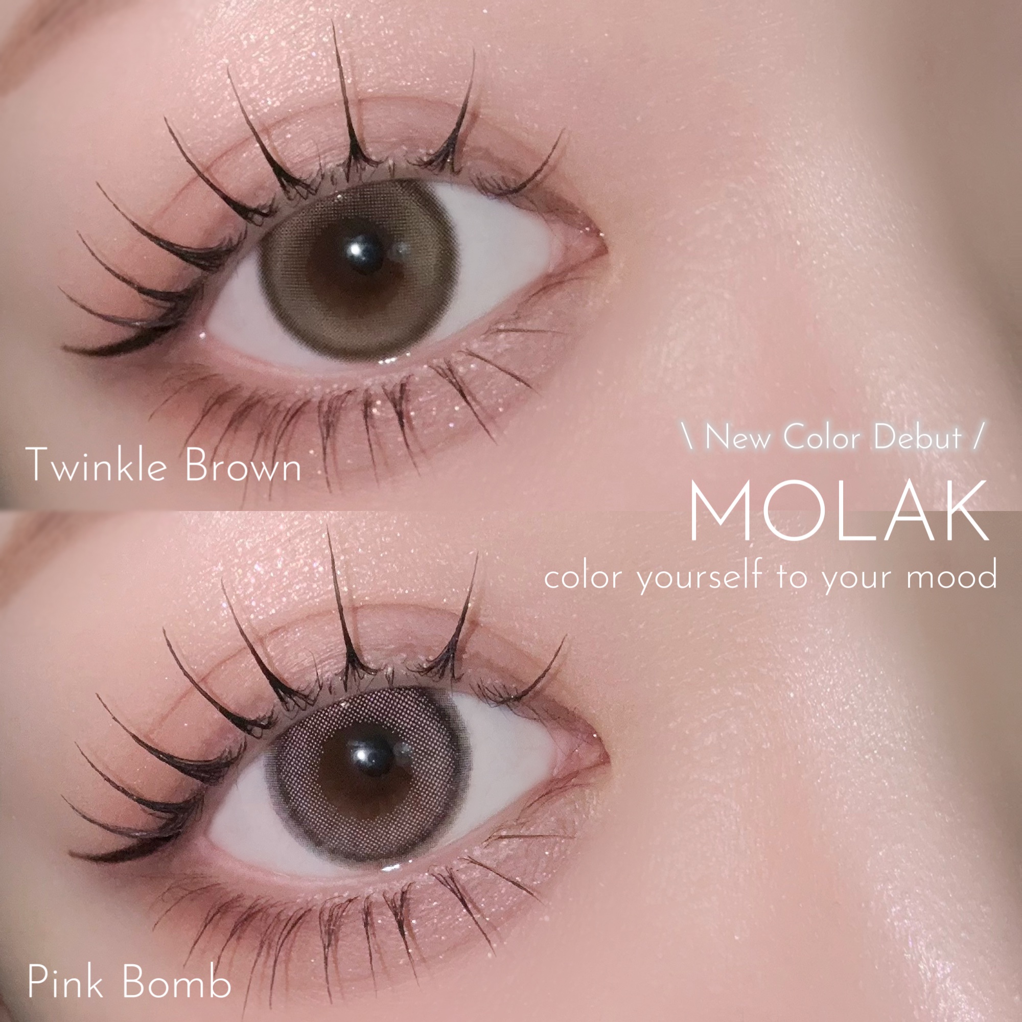 MOLAK 1day/MOLAK/ワンデー（１DAY）カラコンを使ったクチコミ（1枚目）