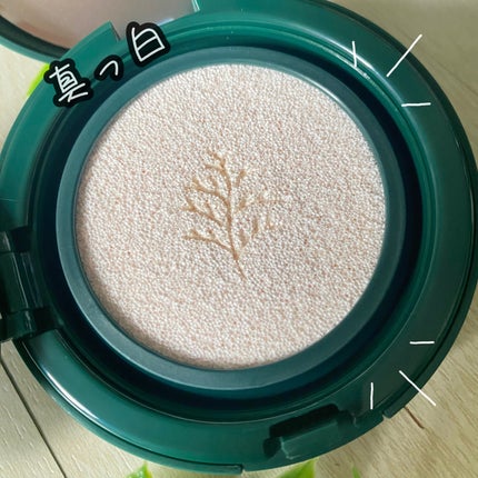 フォレスト マルチディフェンスサンクション/FoRest by Greenfinger/日焼け止めローションを使ったクチコミ(3枚目)