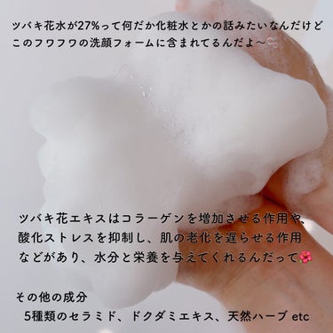済州ツバキマイルドフォームクレンザー/Neulii/洗顔フォームを使ったクチコミ（3枚目）