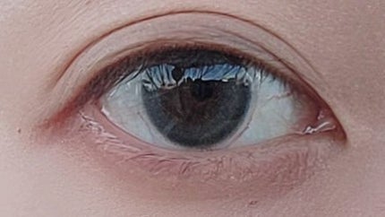 ReVIA 1day/ReVIA/ワンデー(1DAY)カラコンを使ったクチコミ(4枚目)