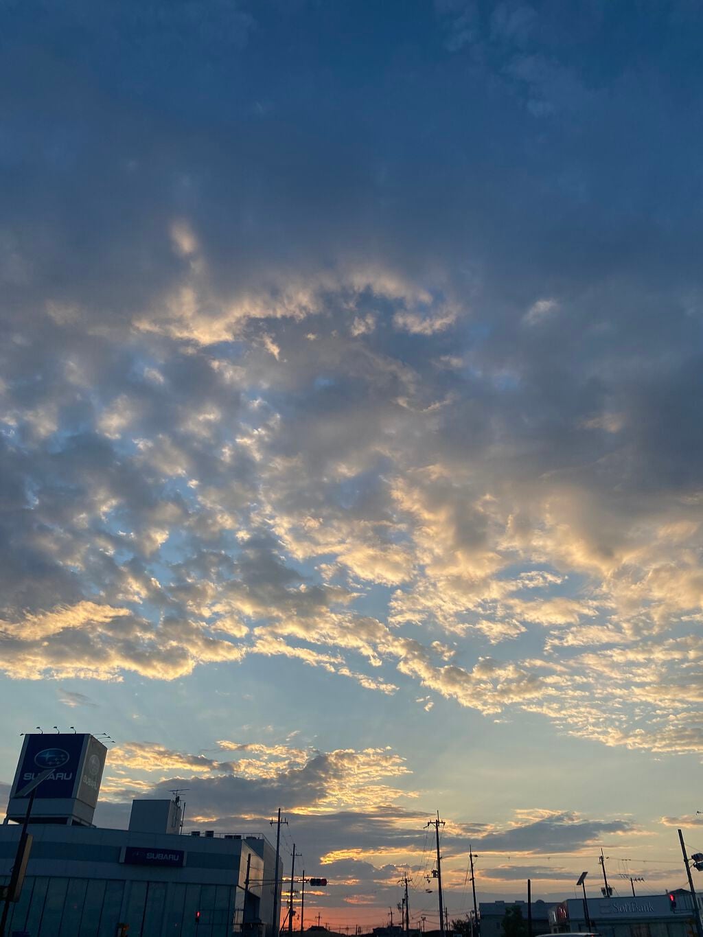 薬用 しみ 集中対策 美容液/メラノCC/美容液を使ったクチコミ(1枚目)