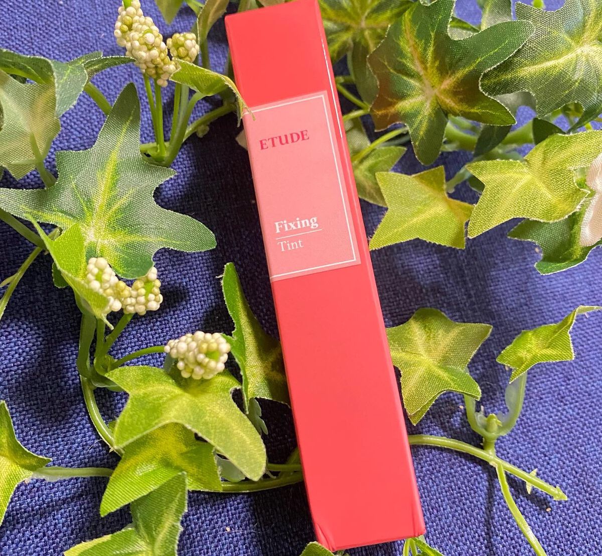 フィクシングティント/ETUDE/リップティントを使ったクチコミ(2枚目)