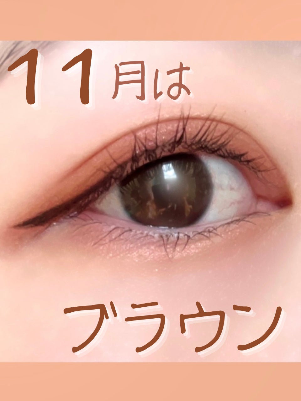 シルキースフレアイズ(マットタイプ)/キャンメイク/アイシャドウパレットを使ったクチコミ(1枚目)