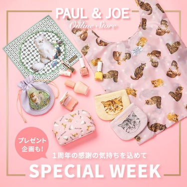 リップスティック ケース CS/PAUL & JOE BEAUTE/その他化粧小物を使ったクチコミ（1枚目）