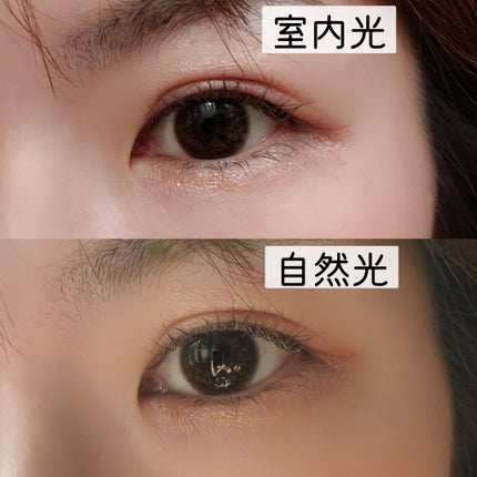 アイジェニック セピアミスト/アイジェニック/カラーコンタクトレンズの画像