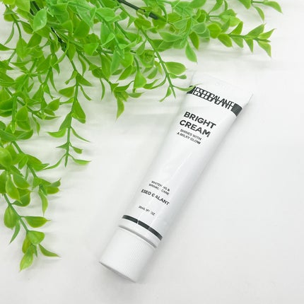 ブライトクリーム/eseogalant/化粧下地を使ったクチコミ(1枚目)