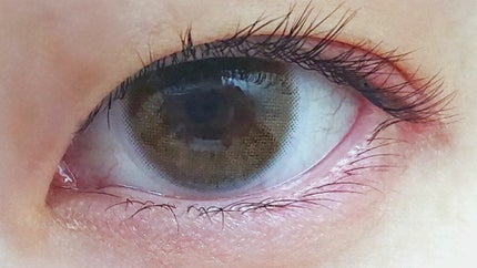 FRUTTIE 1day/メニコン/ワンデー(1DAY)カラコンを使ったクチコミ(3枚目)