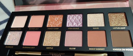 エクスプローラ12色 動物アイシャドウパレット/PERFECT DIARY/アイシャドウパレットを使ったクチコミ(4枚目)