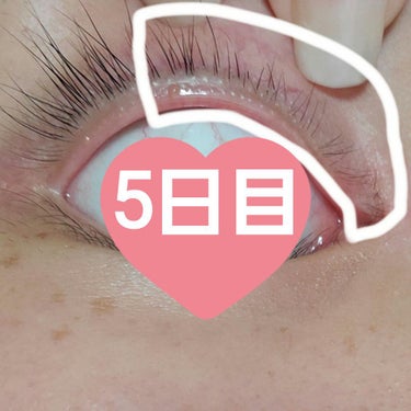 FEG  Eyelash  Enhancer/FEG/まつげ美容液を使ったクチコミ（2枚目）