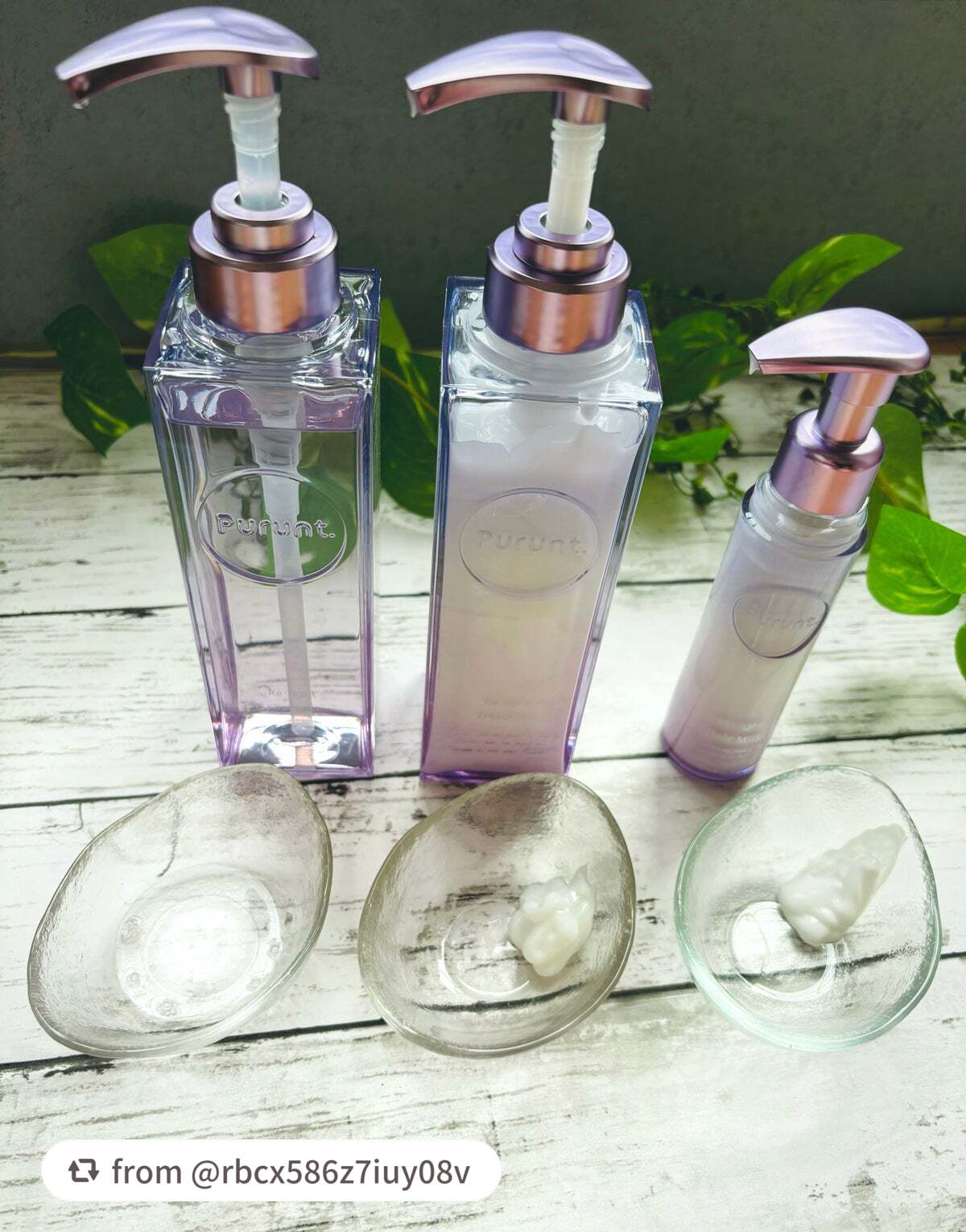 プルント リライト美容液シャンプー/トリートメント/Purunt./市販シャンプーを使ったクチコミ(3枚目)