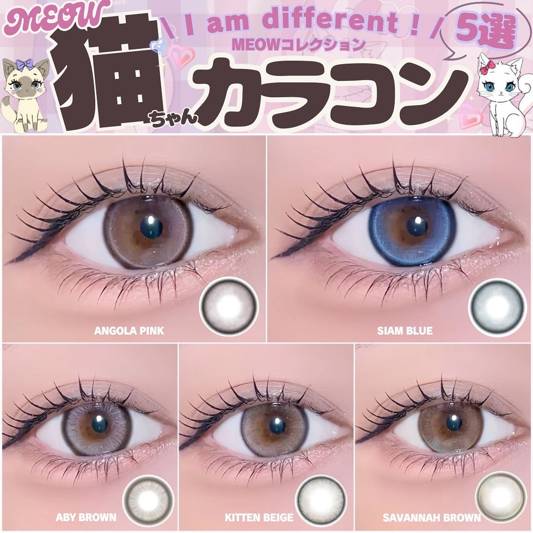 MEOW(ミヤオ) 1month/OLOLA/1ヶ月(1MONTH)カラコンを使ったクチコミ(1枚目)