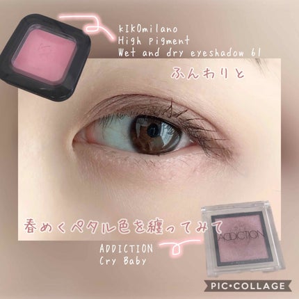 アディクション ザ アイシャドウ/ADDICTION/単色アイシャドウを使ったクチコミ(1枚目)