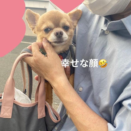 ローシャンプー/SABON/市販シャンプーを使ったクチコミ(7枚目)