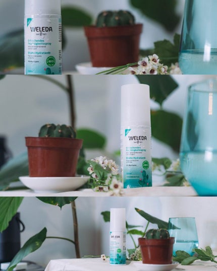 ウチワサボテン フェイシャルミスト/WELEDA/ミスト状化粧水を使ったクチコミ(4枚目)