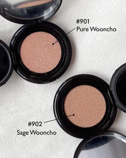 ブラーフィニッシュ雲楚クッション/Dinto/クッションファンデーションを使ったクチコミ(7枚目)