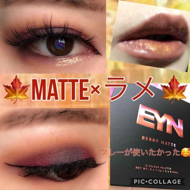 EYN BERRY MATTE 9/EYN/パウダーアイシャドウを使ったクチコミ（1枚目）