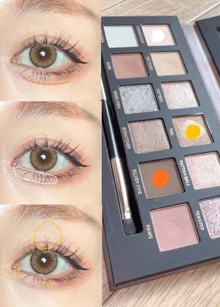 エクスプローラ12色 動物アイシャドウパレット/PERFECT DIARY/アイシャドウパレットを使ったクチコミ(5枚目)