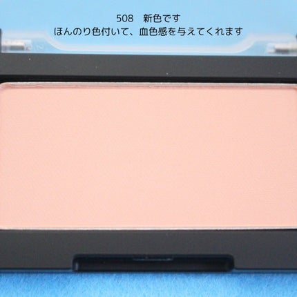 ブラーフィニシュブラッシャー/Dinto/パウダーチークを使ったクチコミ(4枚目)