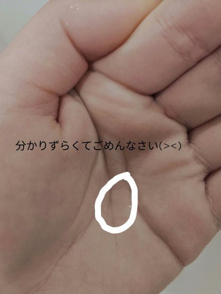 を使ったクチコミ(2枚目)