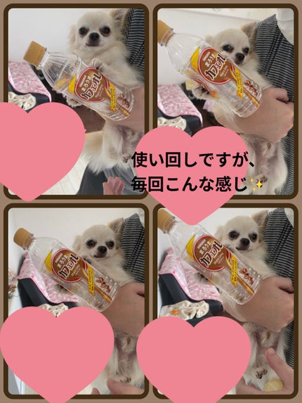 美白 うるおい ジェル/ちふれ/オールインワン化粧品を使ったクチコミ(6枚目)