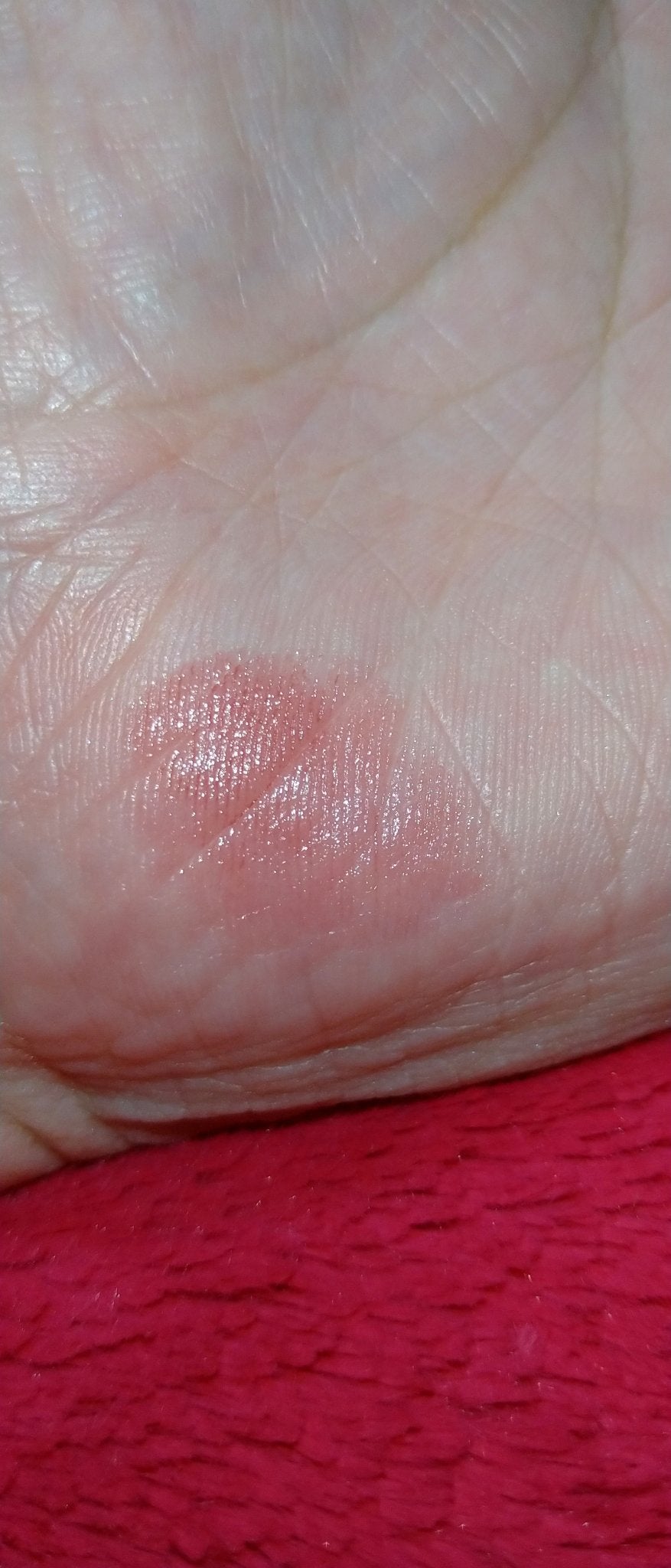 ケイト リップモンスター/KATE/口紅を使ったクチコミ(8枚目)