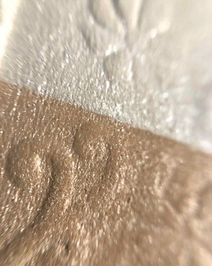 グロウツインカラー/キャンメイク/アイシャドウパレットを使ったクチコミ(2枚目)