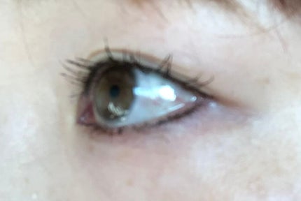 ラッシュフォーマーEX(ロングWP) BR3 ブラウン/KATE/マスカラを使ったクチコミ(2枚目)