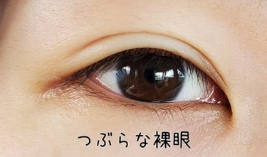 トゥインクルアイズ ワンデー UV+ シークレットシリーズ/TwinkleEyes/ワンデー（１DAY）カラコンを使ったクチコミ（2枚目）