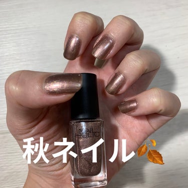 ネイルホリック Earth color/ネイルホリック/マニキュアを使ったクチコミ（1枚目）