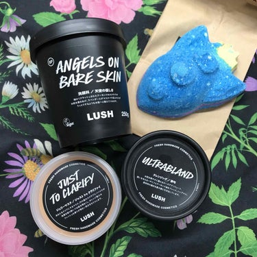 【LUSH購入品】
天使の優しさ・俳句はリピートです！

俳句はレビューしてなかったので、また今度すると思います😊

左下のジェリーマスク「ジャスト トゥ クラリファイ」は初めて買ってみました✨竹パウダ