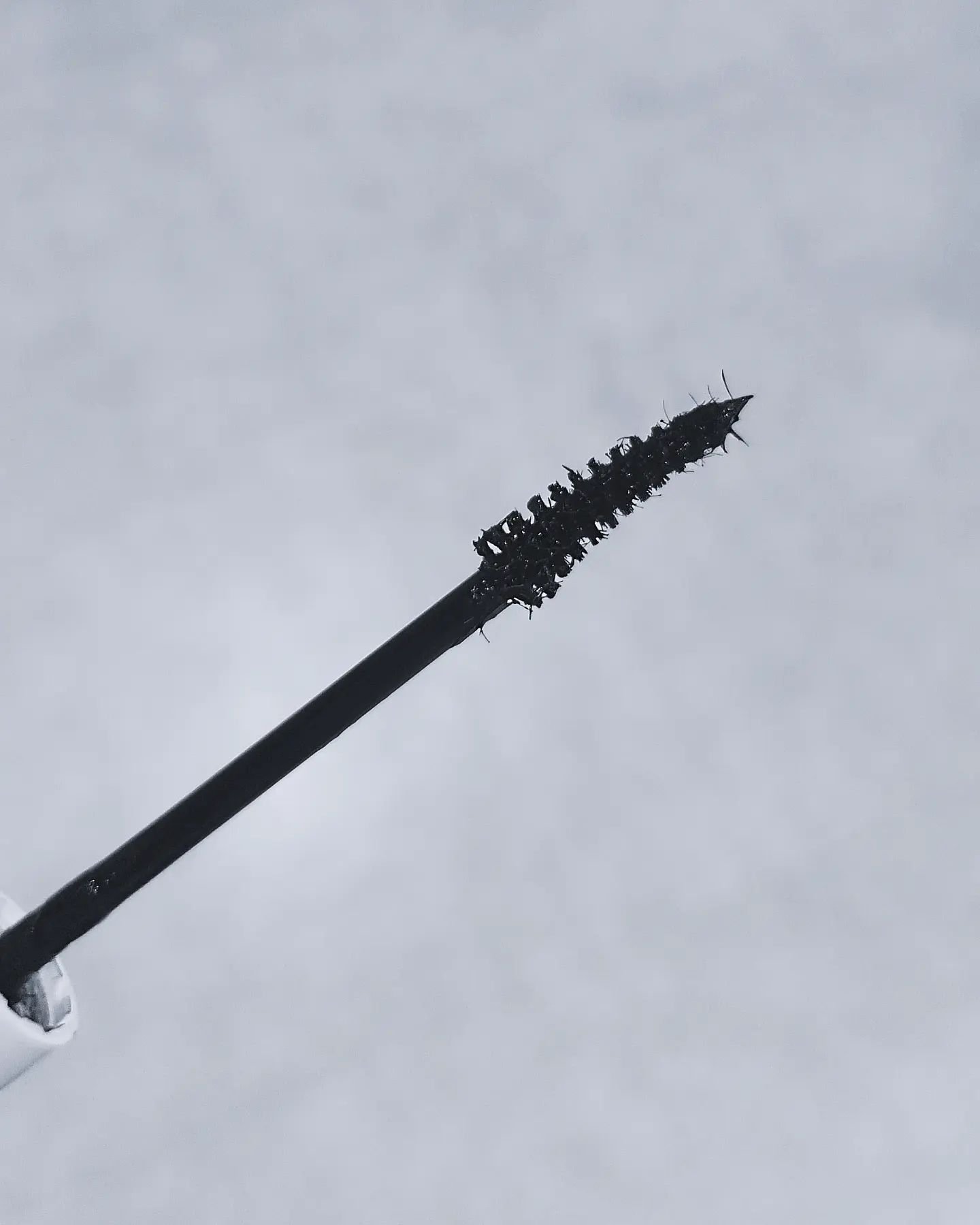 ハイパーリフトマスカラ/D-UP/マスカラを使ったクチコミ（2枚目）