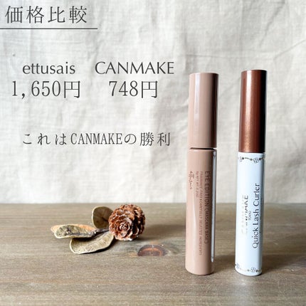 クイックラッシュカーラーER/キャンメイク/マスカラ下地を使ったクチコミ(5枚目)