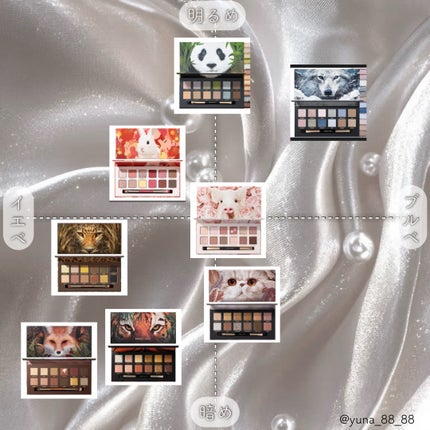 エクスプローラ12色 動物アイシャドウパレット/PERFECT DIARY/アイシャドウパレットを使ったクチコミ(6枚目)