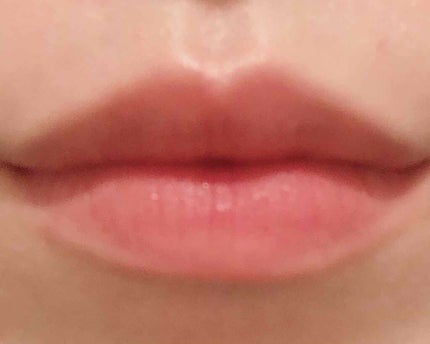 リップフィックス/ロージーローザ/リップグロスを使ったクチコミ(3枚目)
