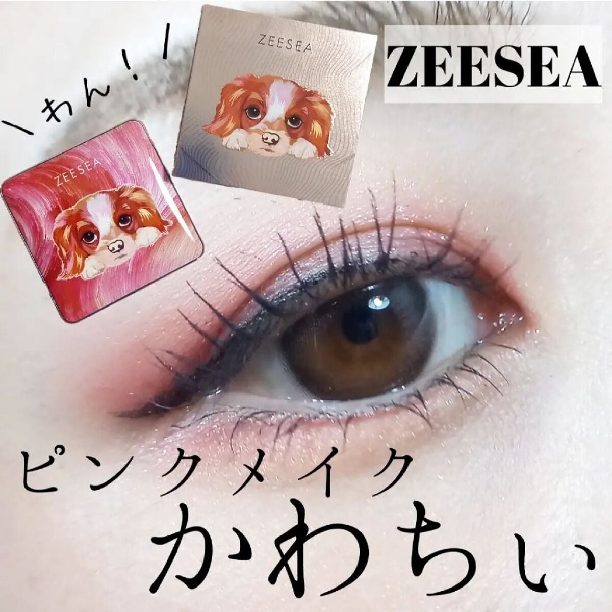 アニマルアイシャドウ(4シェード)/ZEESEA/アイシャドウパレットを使ったクチコミ(1枚目)