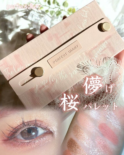 デザイナーアイズ&チークパレット/PERFECT DIARY/アイシャドウを使ったクチコミ(1枚目)