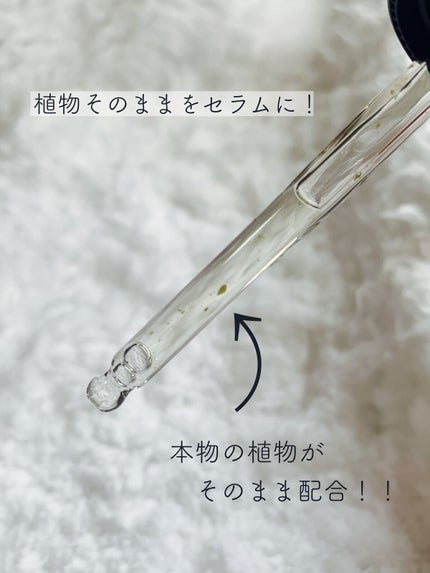 ツボクサセラム/ONE THING/美容液を使ったクチコミ(4枚目)