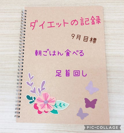 日清シスコ シスコーンのクチコミ「こんにちは。
椿です。
9月ダイエット短期宣言です。
♡朝ごはん毎日食べる
♡お風.....」(1枚目)